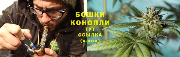 PSILOCYBIN Алексеевка