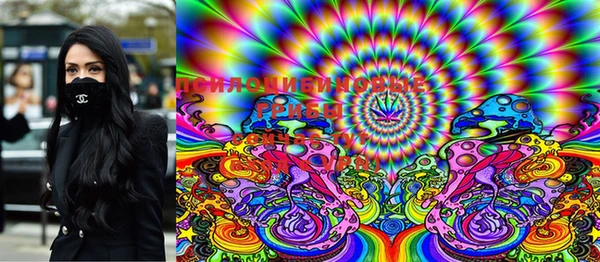 PSILOCYBIN Алексеевка