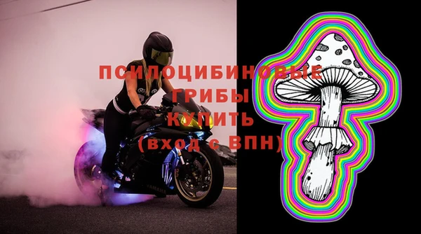 ешки Алзамай