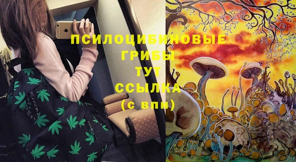Альфа ПВП Алексин