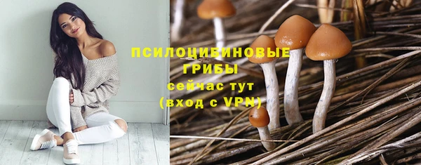 PSILOCYBIN Алексеевка