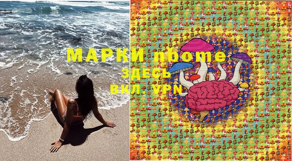 ПСИЛОЦИБИНОВЫЕ ГРИБЫ Струнино