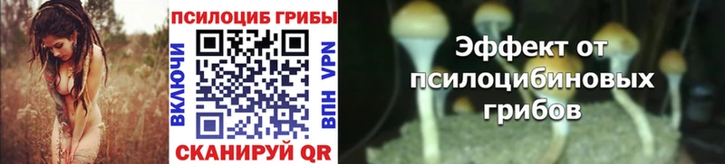 гидра ссылки  Королёв  Галлюциногенные грибы Cubensis 